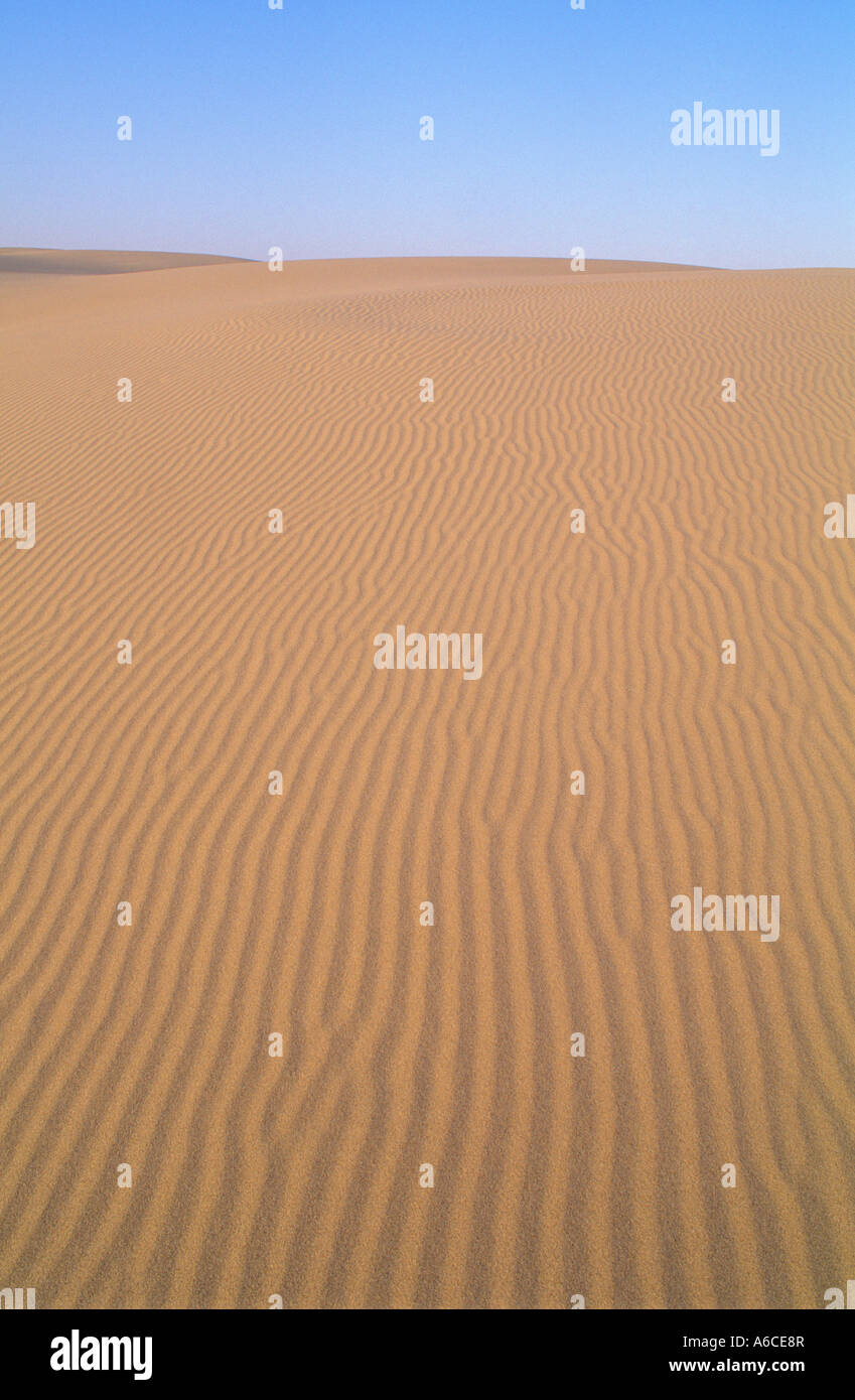 Ripples in sabbia a Umpqua Dune Oregon Dunes National Recreation Area Oregon Coast Foto Stock