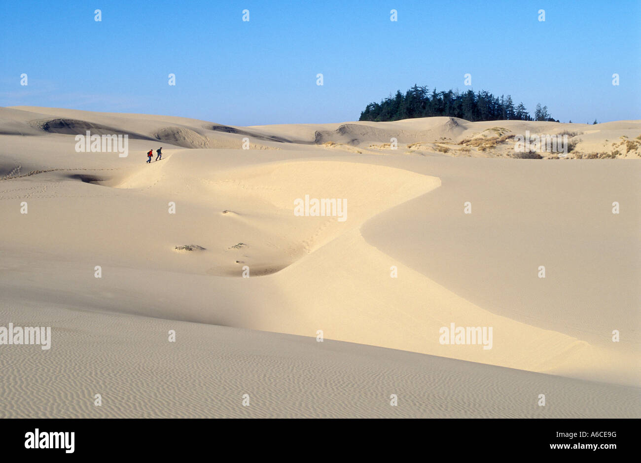 Gli escursionisti a Umpqua dune di sabbia in Oregon Dunes National Recreation Area sulla centrale di Oregon Coast Foto Stock