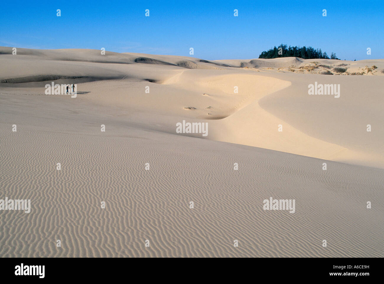 Gli escursionisti a Umpqua dune di sabbia in Oregon Dunes National Recreation Area sulla centrale di Oregon Coast Foto Stock