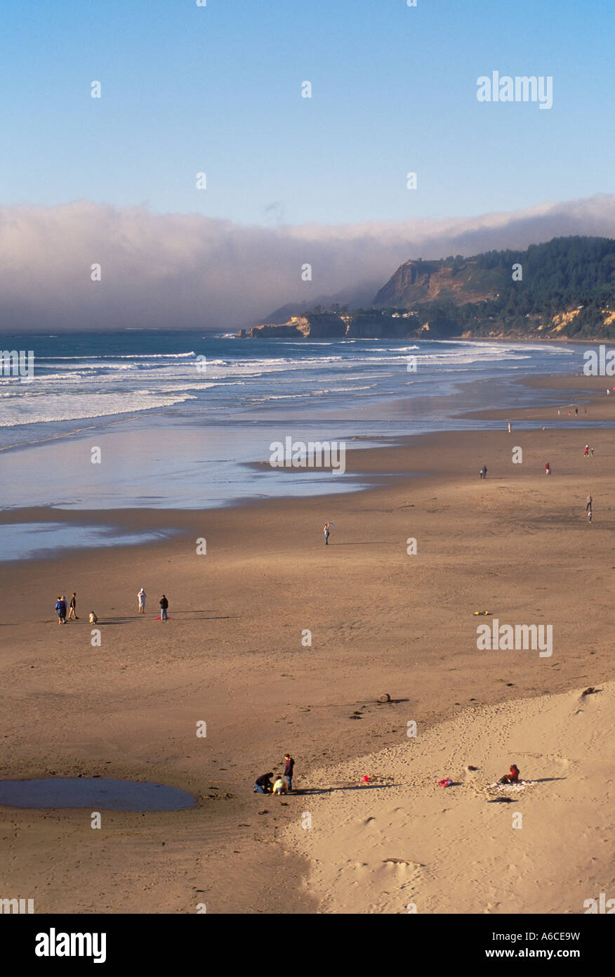 Beverly Beach State Park e visualizzare il nord a Otter Rock sulla centrale di Oregon Coast Foto Stock