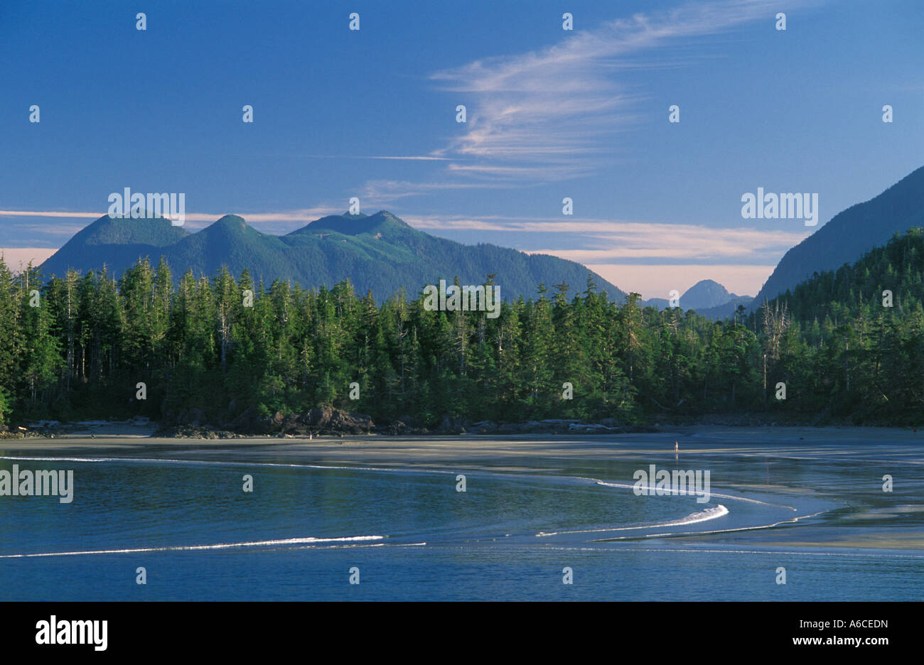 McKenzie spiaggia vicino a Tofino sulla costa occidentale dell'isola di Vancouver, British Columbia Canada Foto Stock
