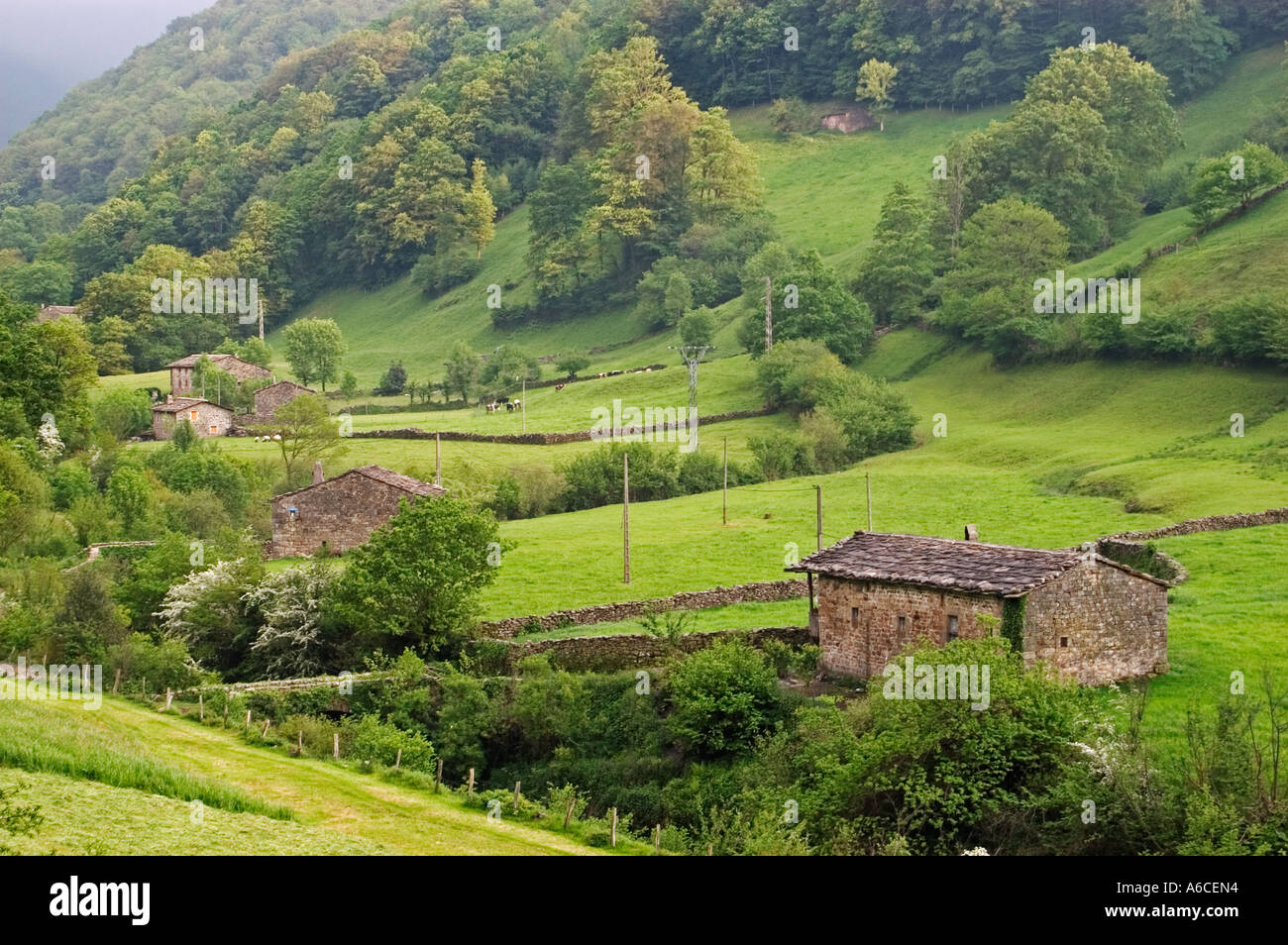 Visualizza i campi e le valli della vega de pas Cantabria Spagna Foto Stock