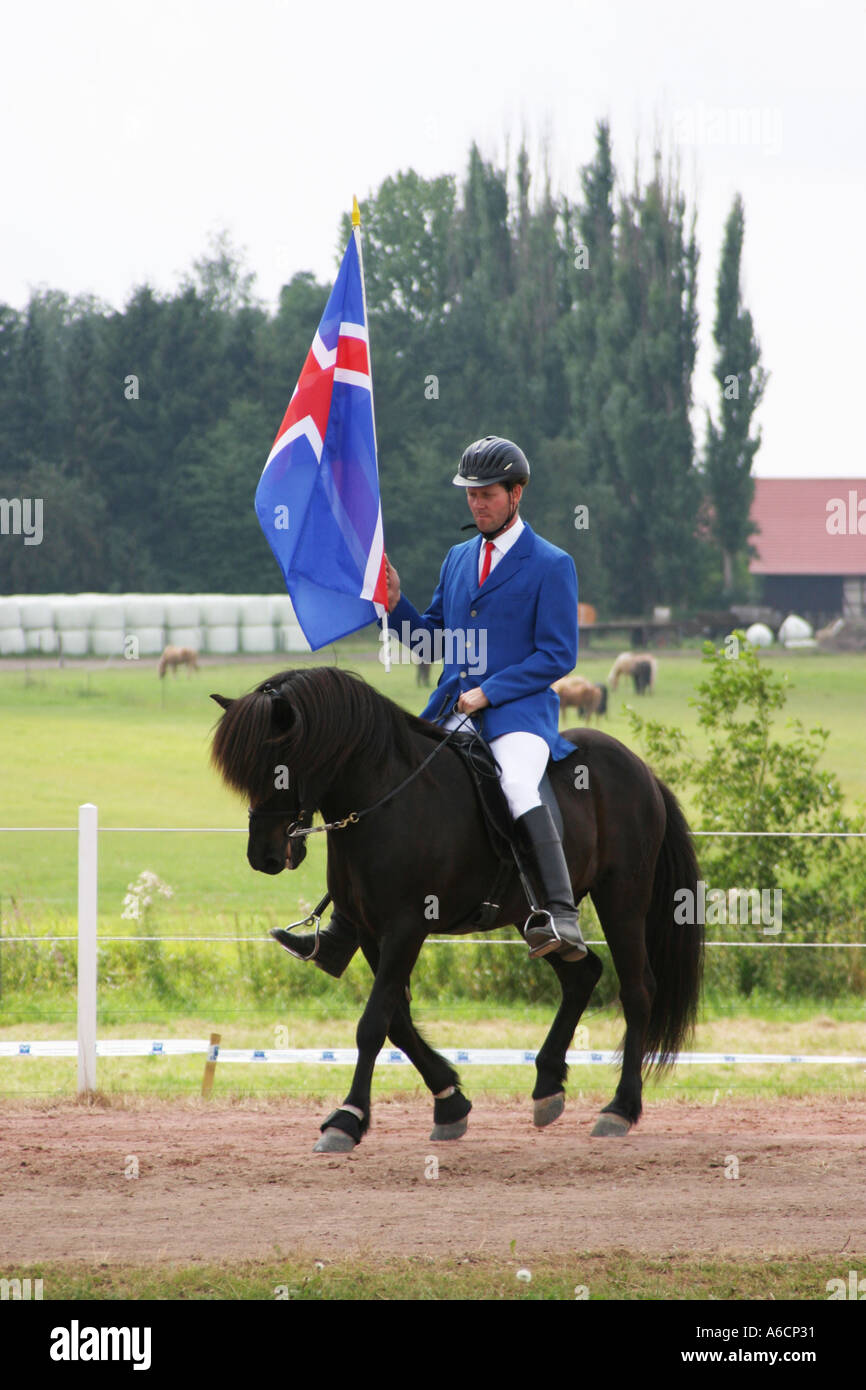 Cavaliere con bandiera e Islanda pony a uno spettacolo equestre in Wolfsburg Germania Foto Stock