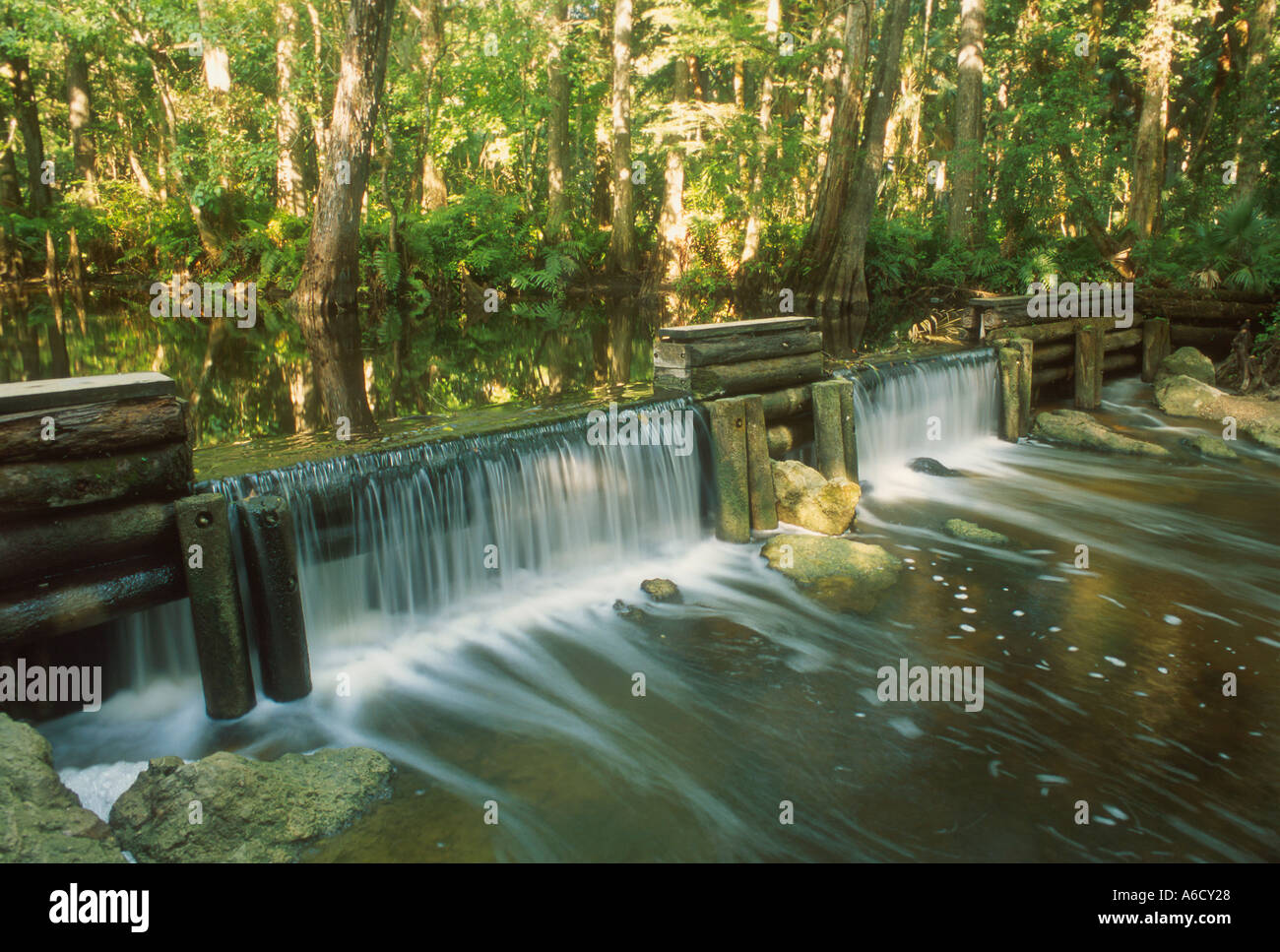 Martin County Loxahatchee fiume cascata a damn nella foresta tropicale paesaggistico e selvaggio fiume Florida Foto Stock