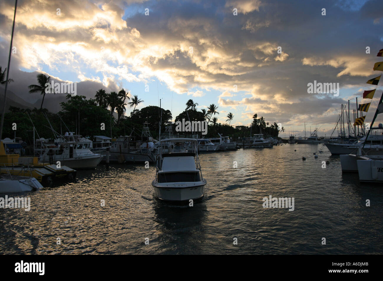 Porto di Lahaina Foto Stock