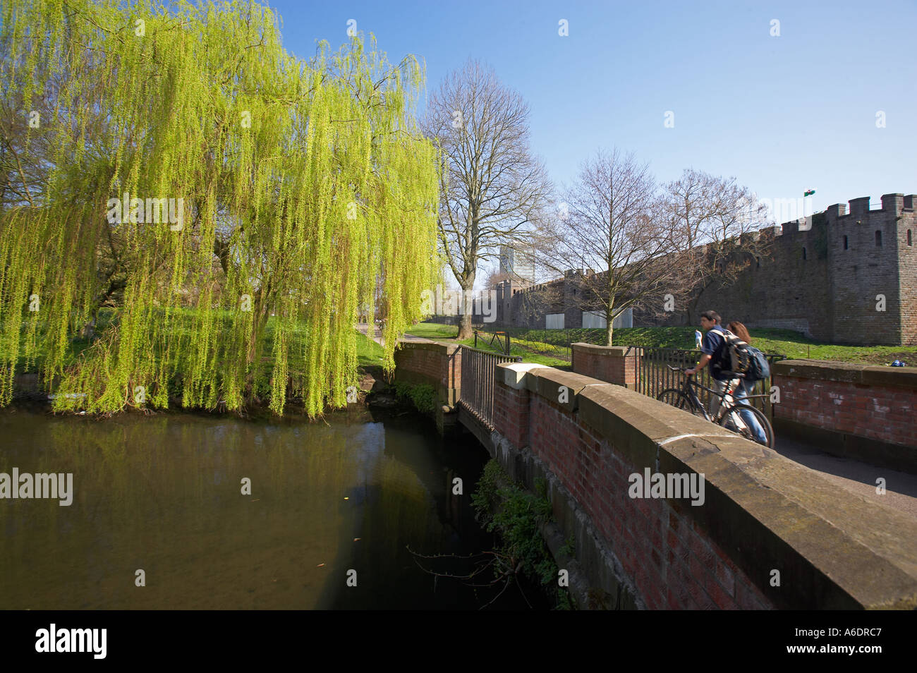 Gli studenti a piedi nella Bute Park, Cardiff Wales, Regno Unito Foto Stock