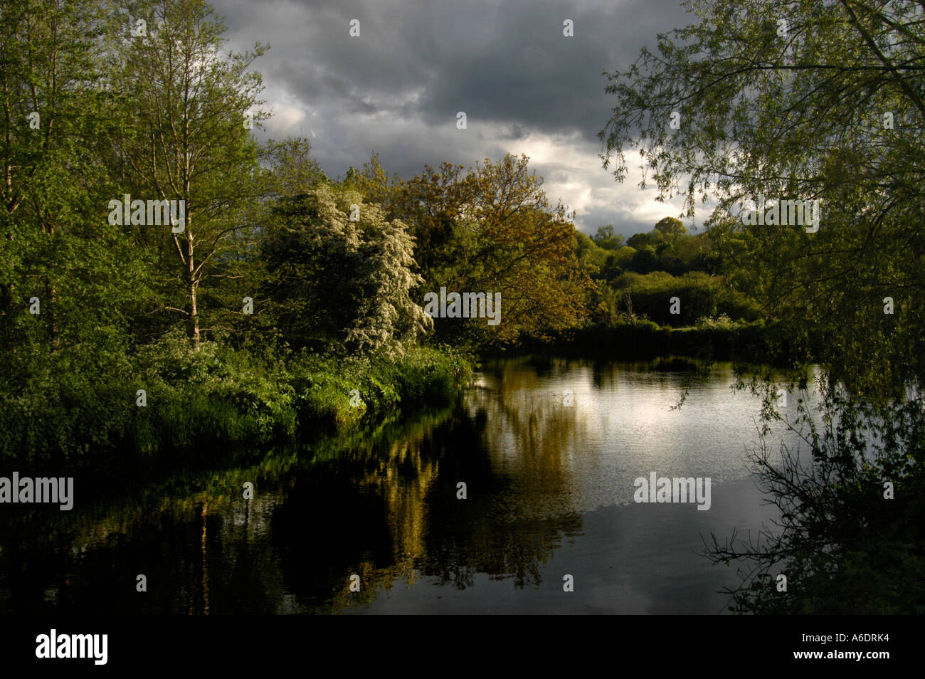 Prati di Lagan, Belfast, Irlanda del Nord Foto Stock