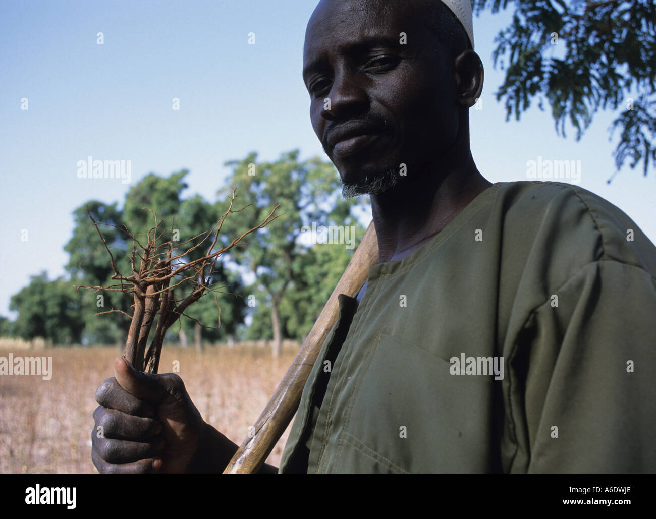 Coltivatore di cotone, Mali Foto Stock