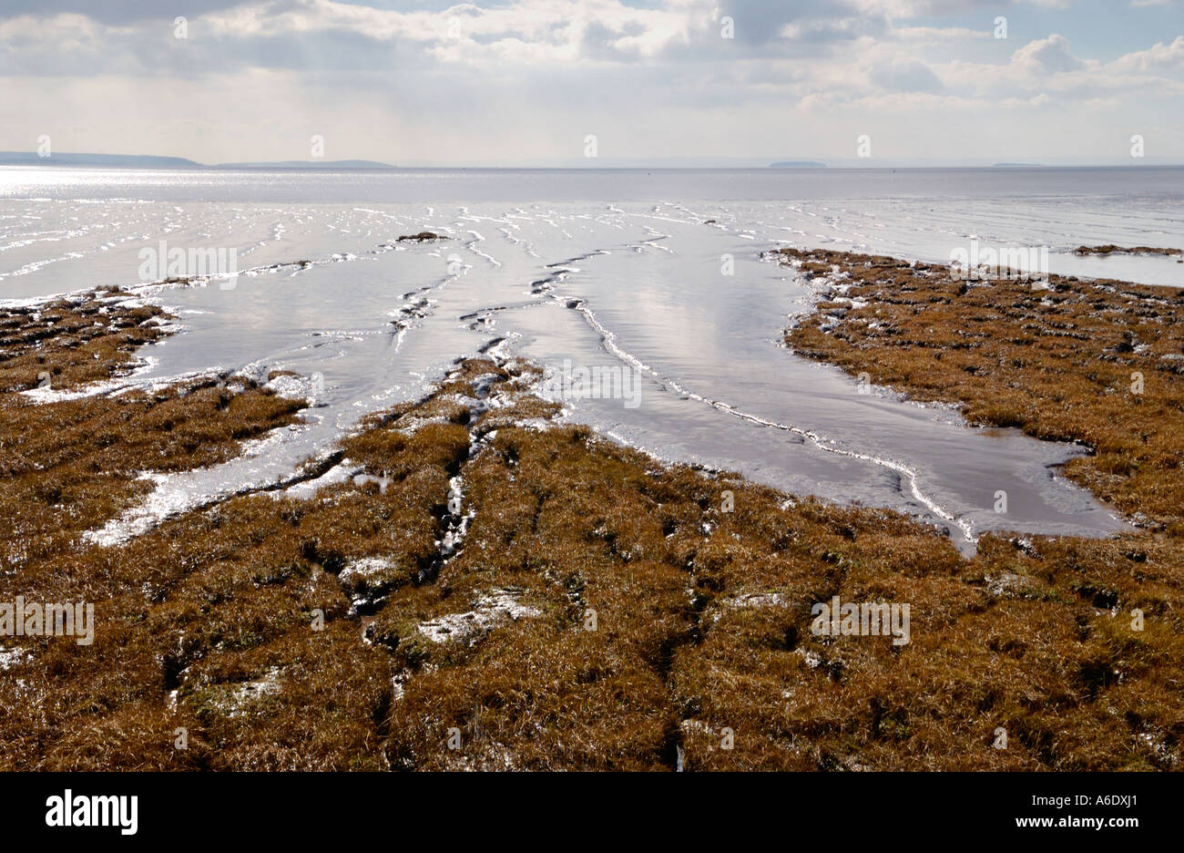 Foreshore di marea in corrispondenza del bordo di Newport Zone Umide Riserva Naturale Nazionale Newport South East Wales UK Foto Stock