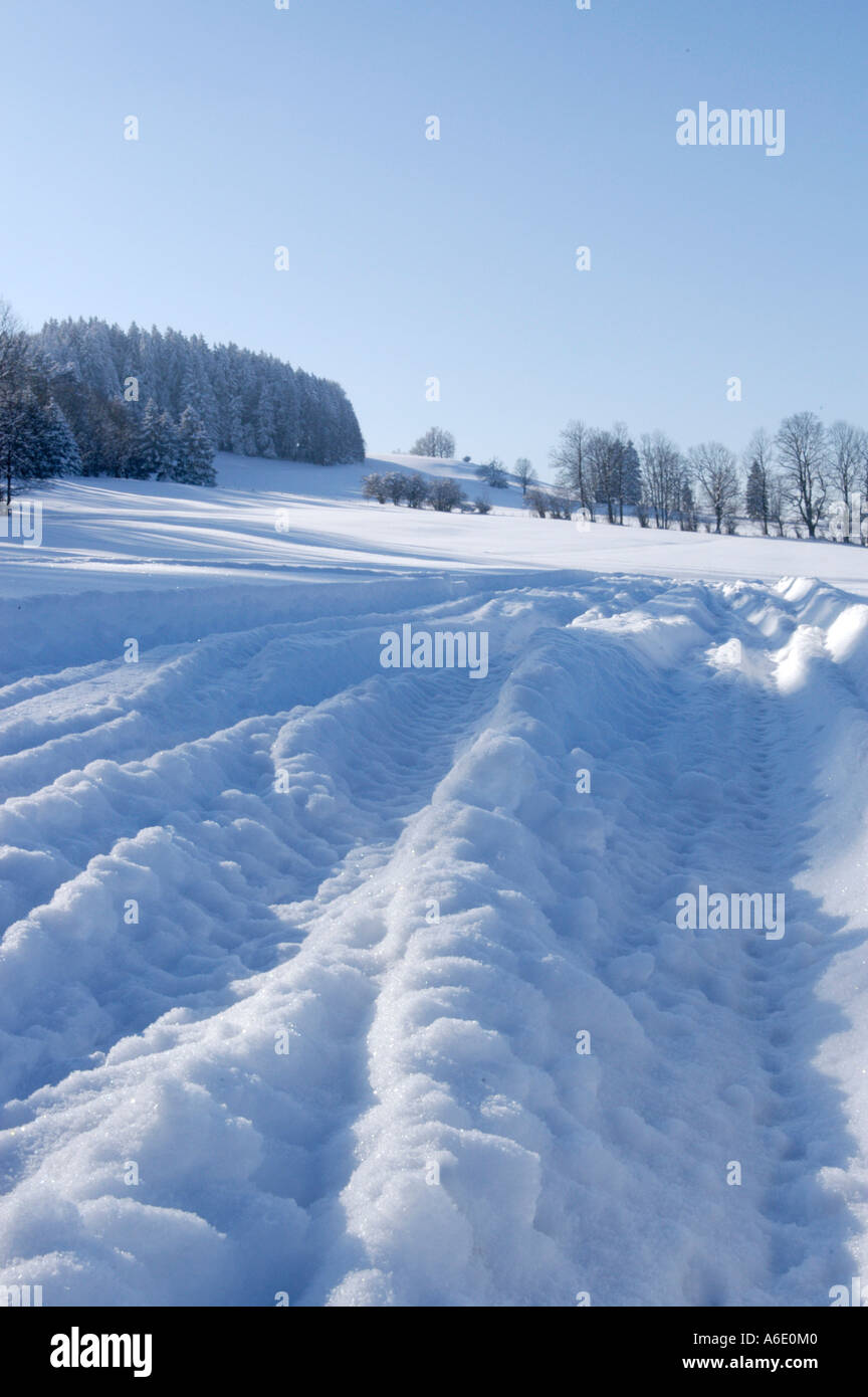 Paesaggio Innevato con ampia pista Foto Stock