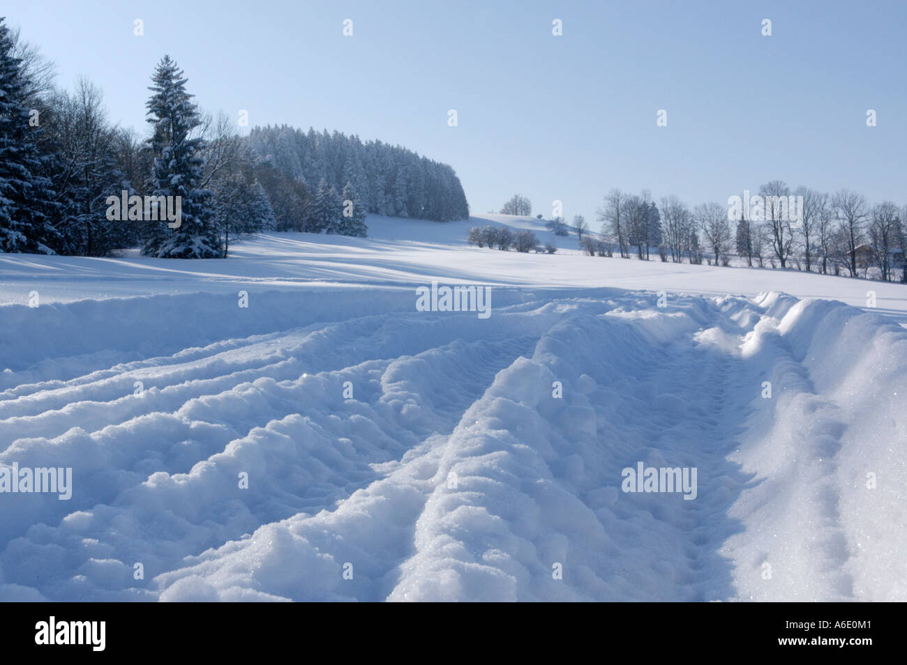 Paesaggio Innevato con ampia pista Foto Stock