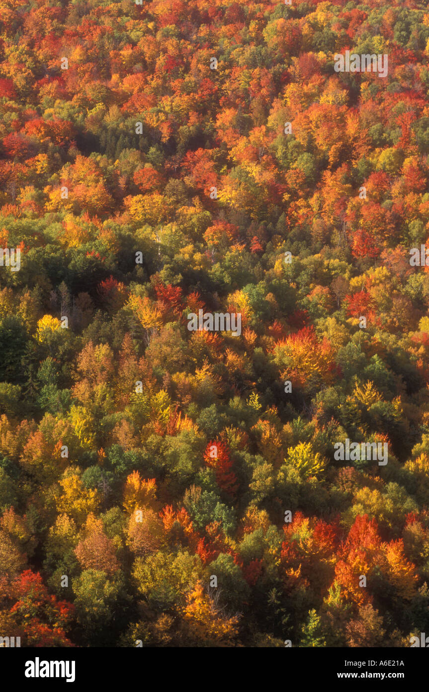 AJ5707, Vermont, VT, New England Foto Stock