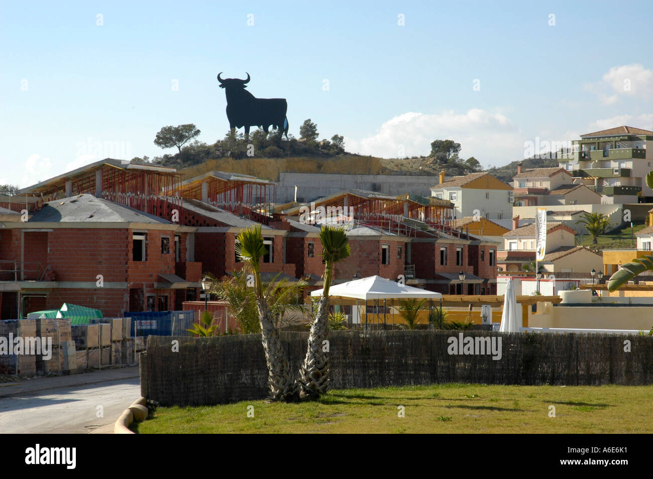 Jerez Osborne bull su un edificio nuovo insediamento, Benidorm, Costa Blanca, Spagna Foto Stock