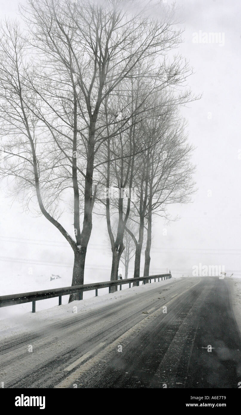 Bagnate e sdrucciolevoli tedesco strada in inverno, i Monti Metalliferi, Erz Monti Metalliferi, Sassonia Foto Stock