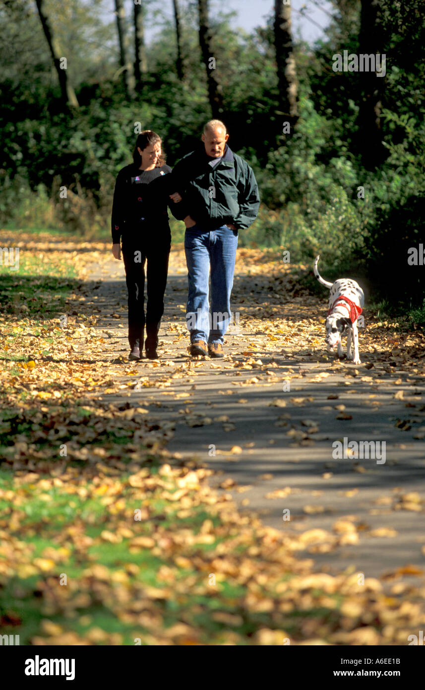 Giovane cane a piedi Washington Foto Stock