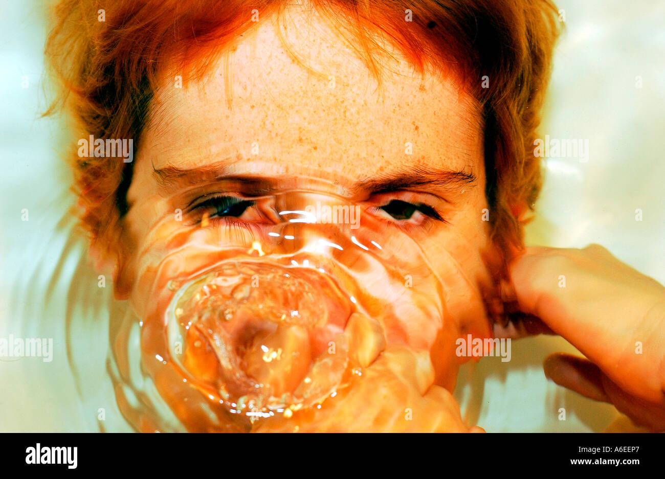 Snoot sotto l'acqua Foto Stock