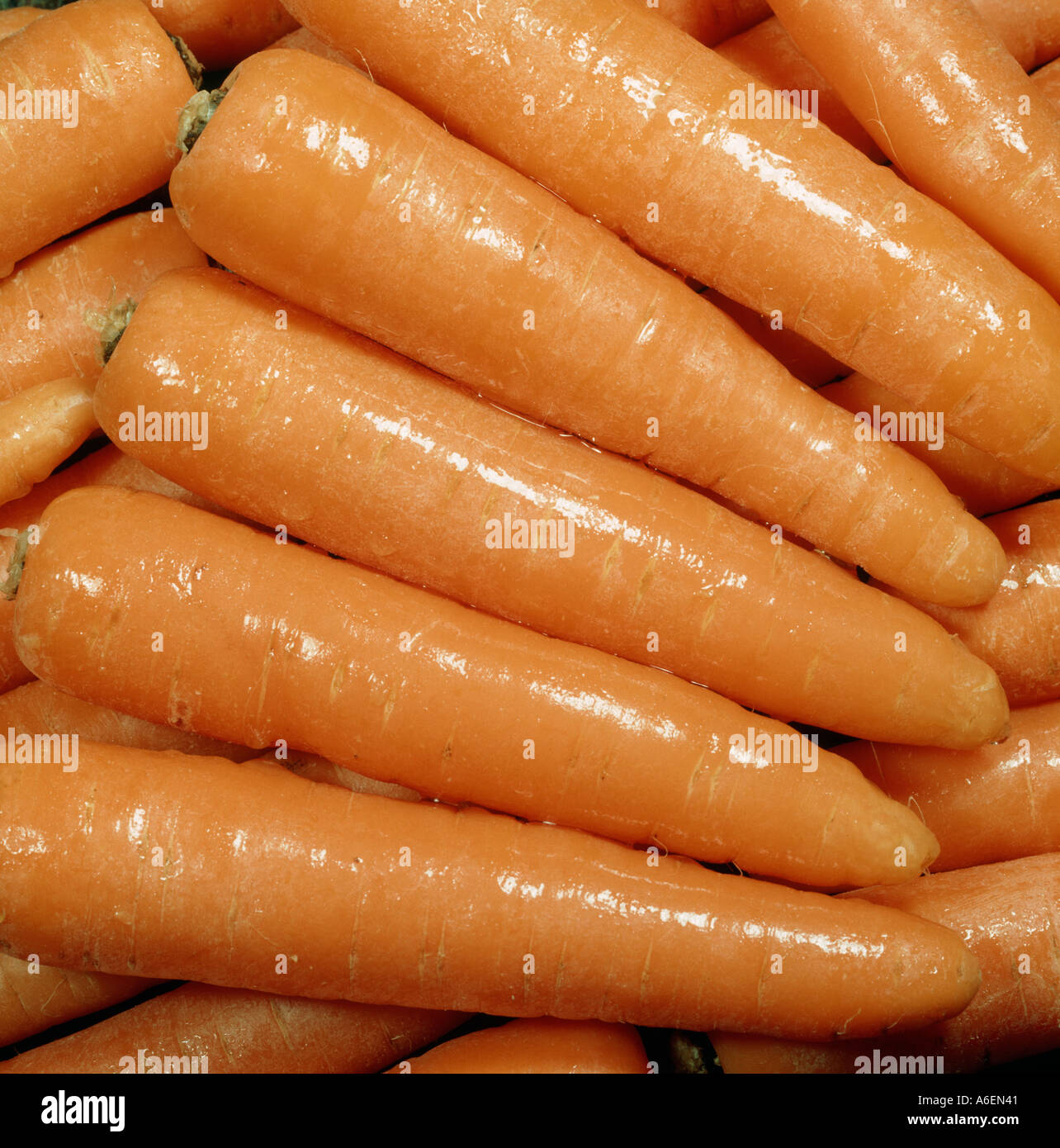 Ben modellato anche dimensionato e rabboccato tailed carote dopo il lavaggio Foto Stock