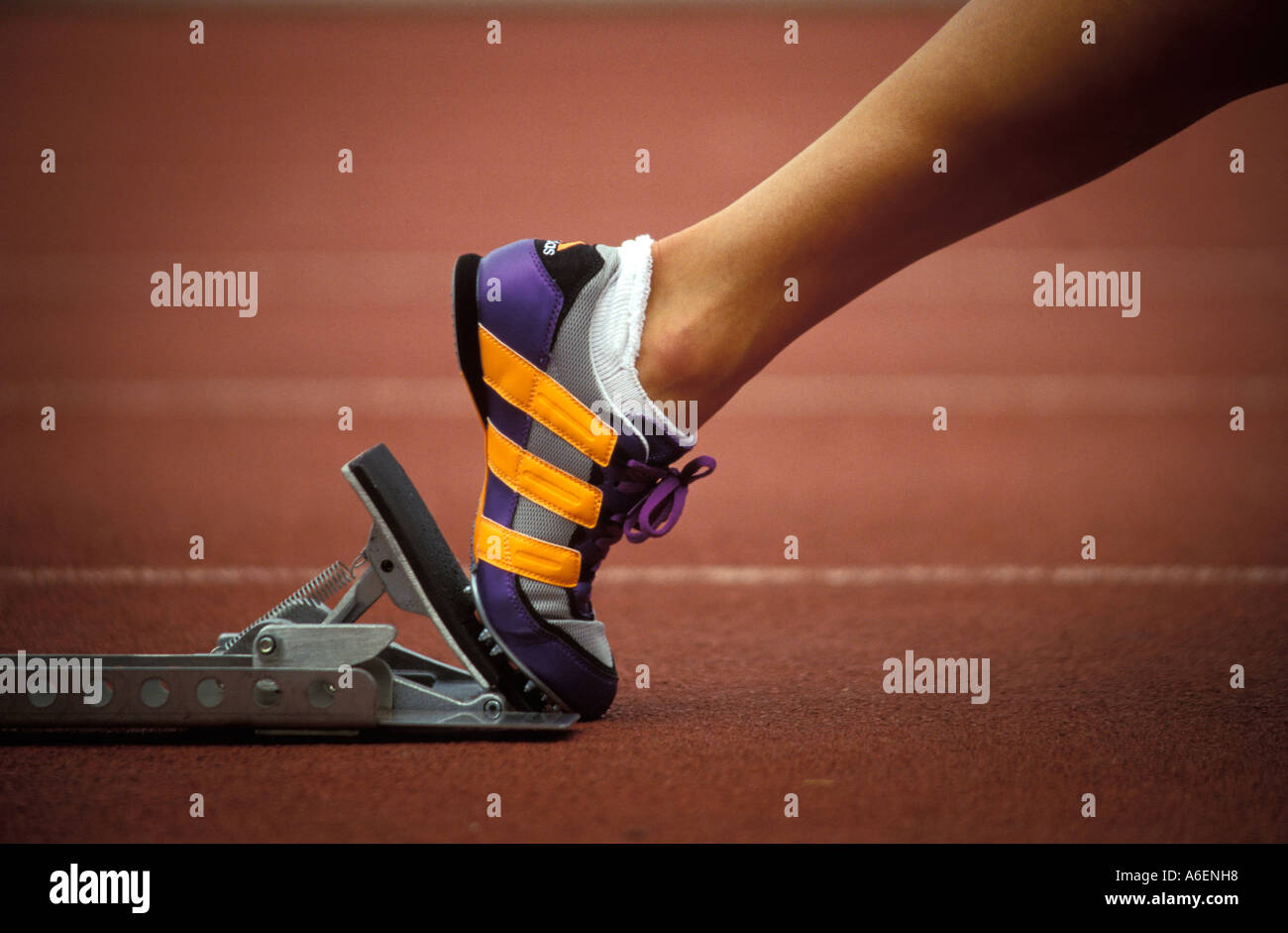 Immagine di una gamba di atleti e la scarpa da corsa su un blocco di partenza come ella stessa si prepara per l'inizio di una corsa Foto Stock