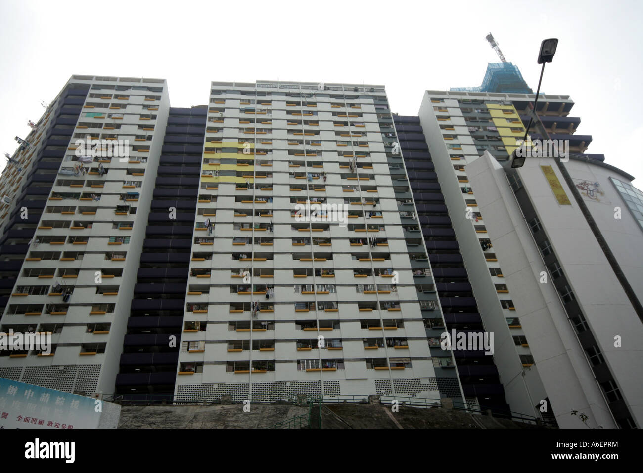 Alloggiamento pubblico nel Quartiere Occidentale di Hong Kong Foto Stock