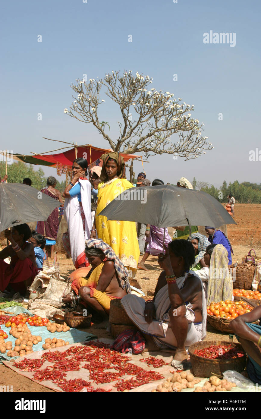 Alberi di frangipani formano un esotico sfondo per il colorato Desia ,Paraja e Mali donne tribali settimanale del mercato del baratto in Orissa Foto Stock