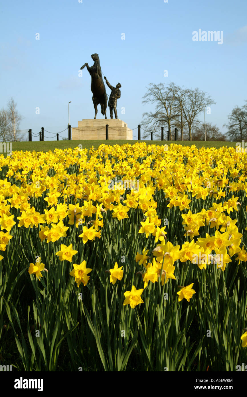 Statua di allevamento a cavallo con i narcisi, Newmarket, Suffolk, Inghilterra Foto Stock