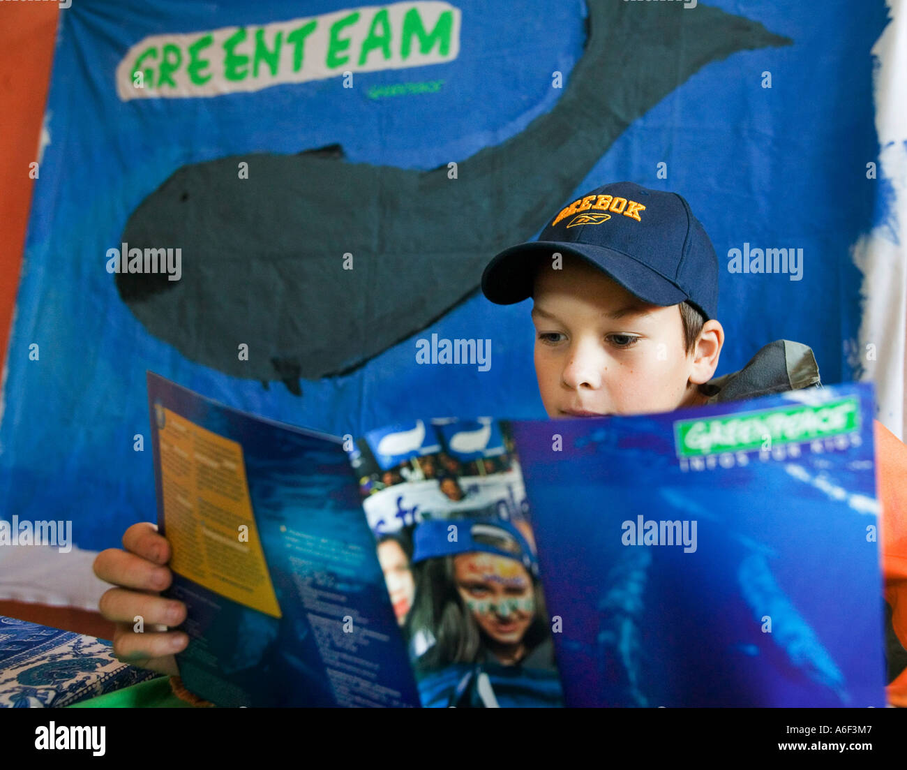 Heidelberg, DEU, 19.11.2005: Il Greenteam della Heidelberger Waldorf scuola informa circa Greenpeace presso un info stand presso il Foto Stock