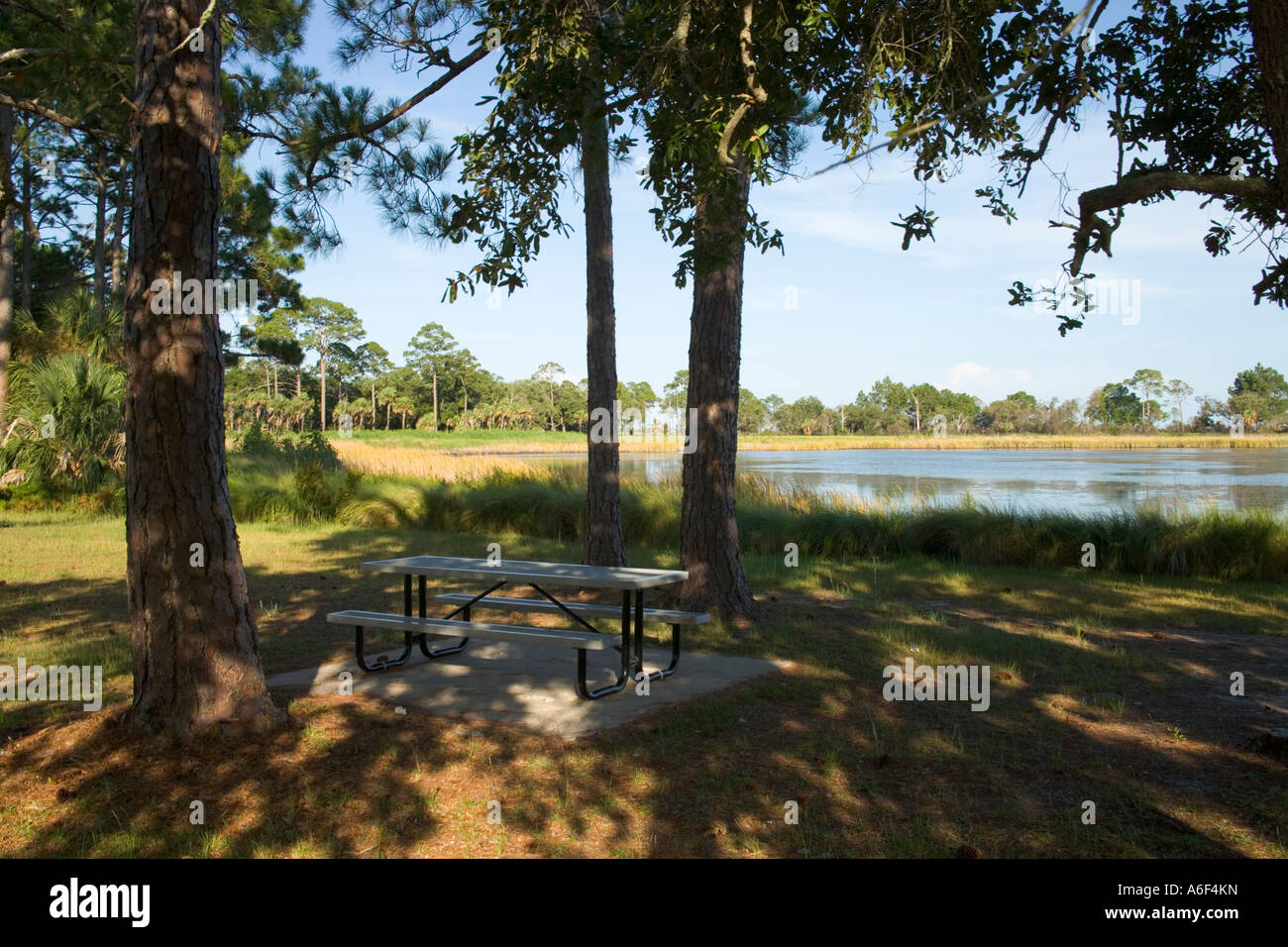 St. Marks National Wildlife Refuge, Florida. Foto Stock