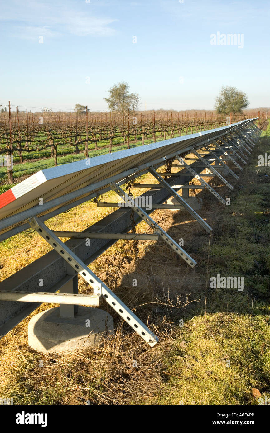 Pannelli solari installati in vigna dormienti, California Foto Stock Pannelli solari installati in vigna dormienti, California Foto Stock