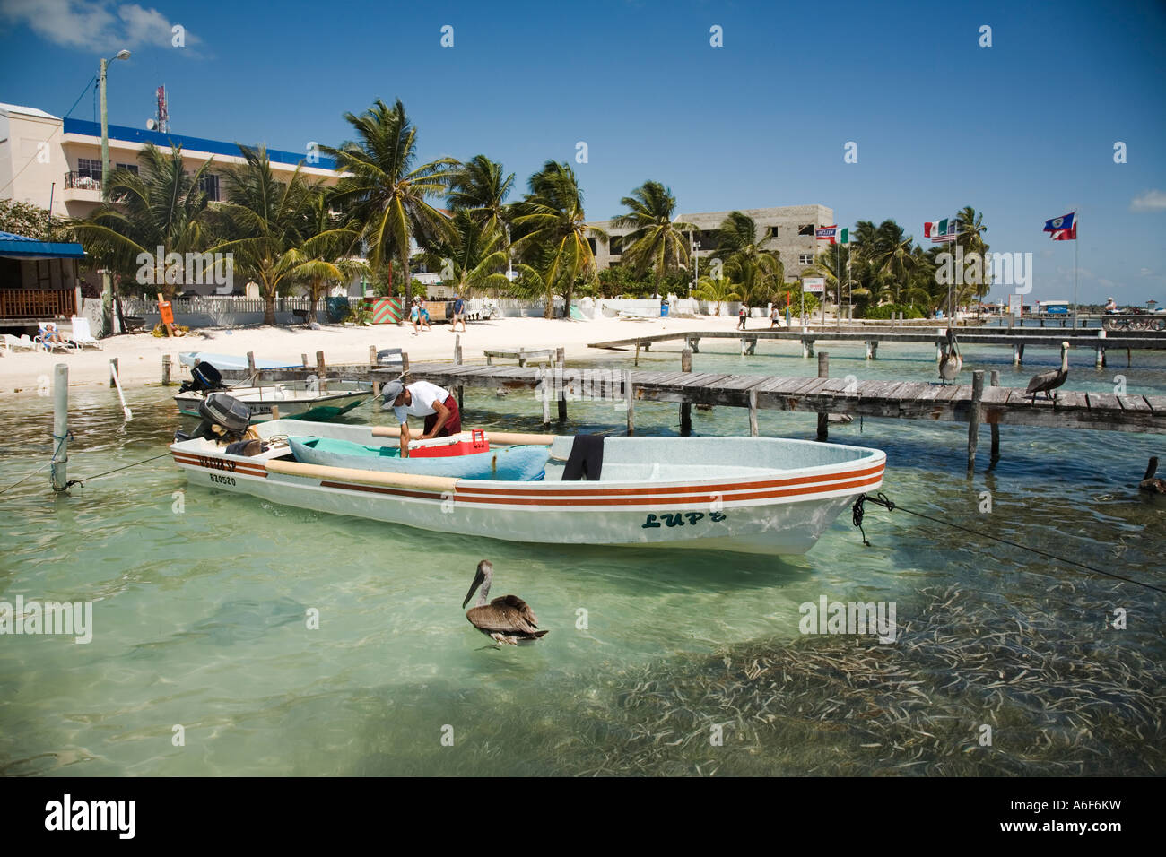 BELIZE San Pedro Ambergris Caye uomo pulire la barca da pesca pellicani marroni sul dock in legno sting rays in acqua poco profonda Foto Stock