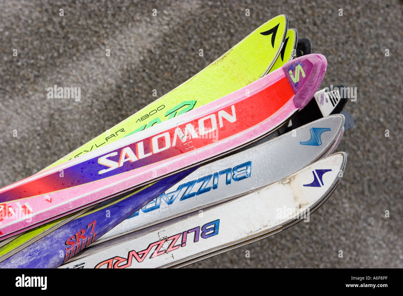 Stacked Salomon & Blizzard skis; Scottish Lecht Ski Center and Resort  Tomintoul Road, Aberdeenshire, Scozia, Regno Unito Foto stock - Alamy