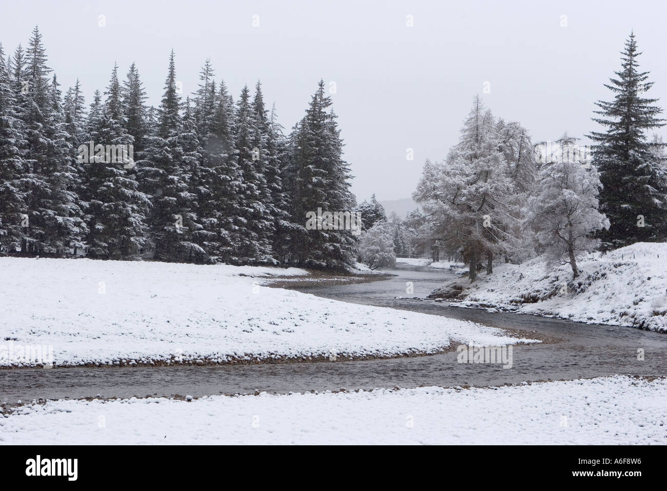 Scottish scena d'inverno nevica, nei pressi del fiume Dee, Braemar dopo la recente nevicata Scozia, Regno Unito Foto Stock