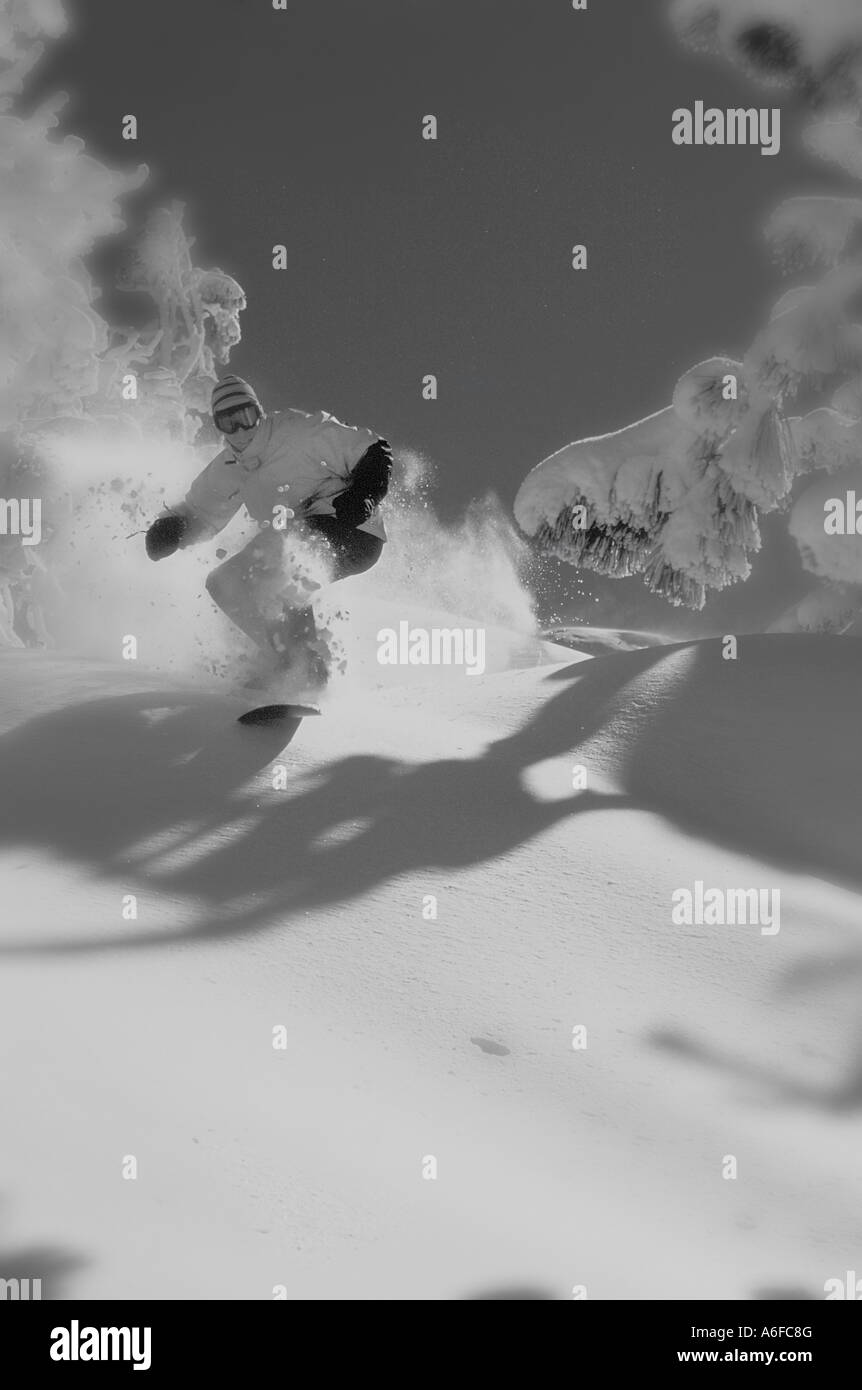 Una foto in bianco e nero di uno snowboarder in polvere di neve a punta di diamante in Nevada Foto Stock