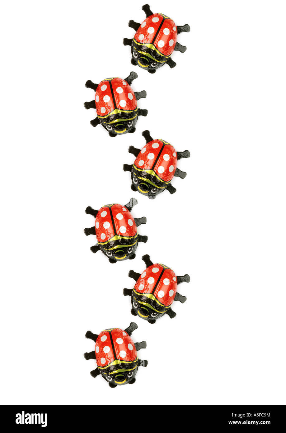 Chocolate Ladybugs coccinelle in una fila Marienkäfer aus Schokolade in einer Reihe Foto Stock