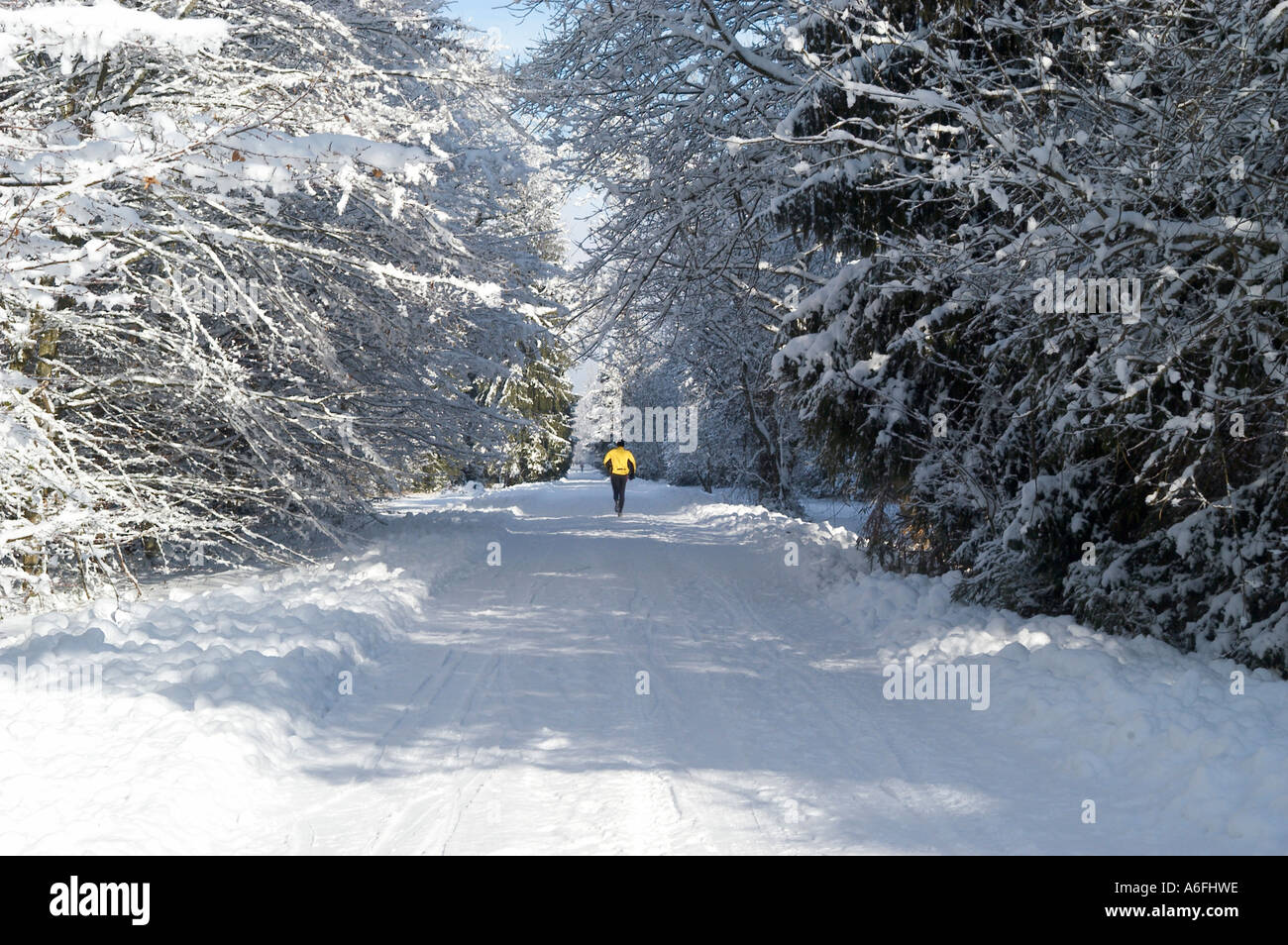 Il pareggiatore coperte di neve in strada il bosco Perlacher Forst Monaco di Baviera Germania Foto Stock