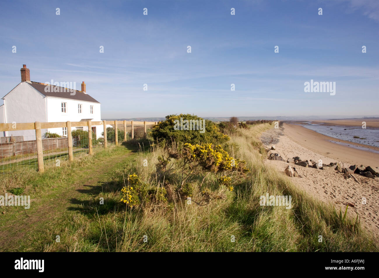 Braunton burrows biosfera devon Foto Stock