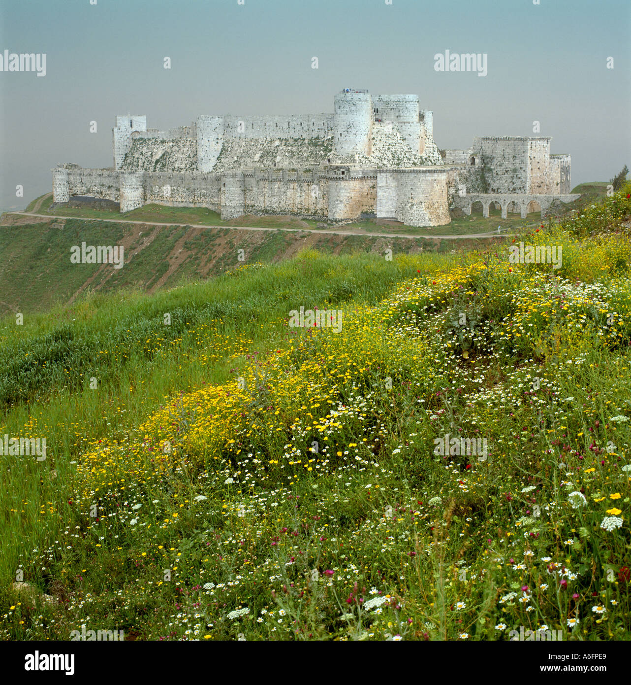 Unità crac de Chevaliers Siria Foto Stock