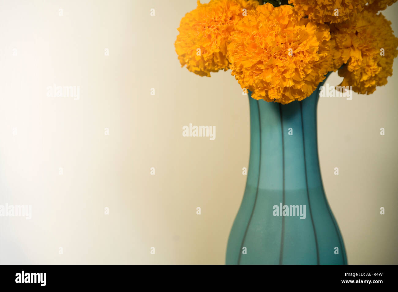 Le calendule fiori in un cielo vaso blu Foto Stock