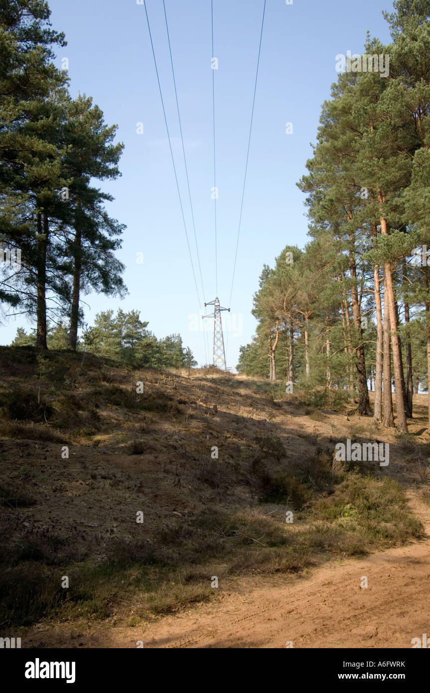 Elettricità tralicci e linee di alimentazione passando attraverso comuni Hankley Surrey UK MOD brughiera Foto Stock