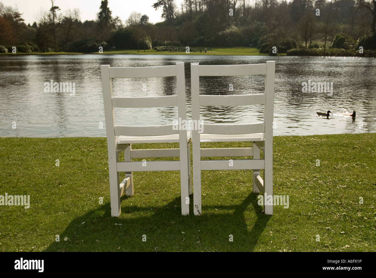 Due di legno sedie bianche su un prato che si affaccia su un lago Foto Stock