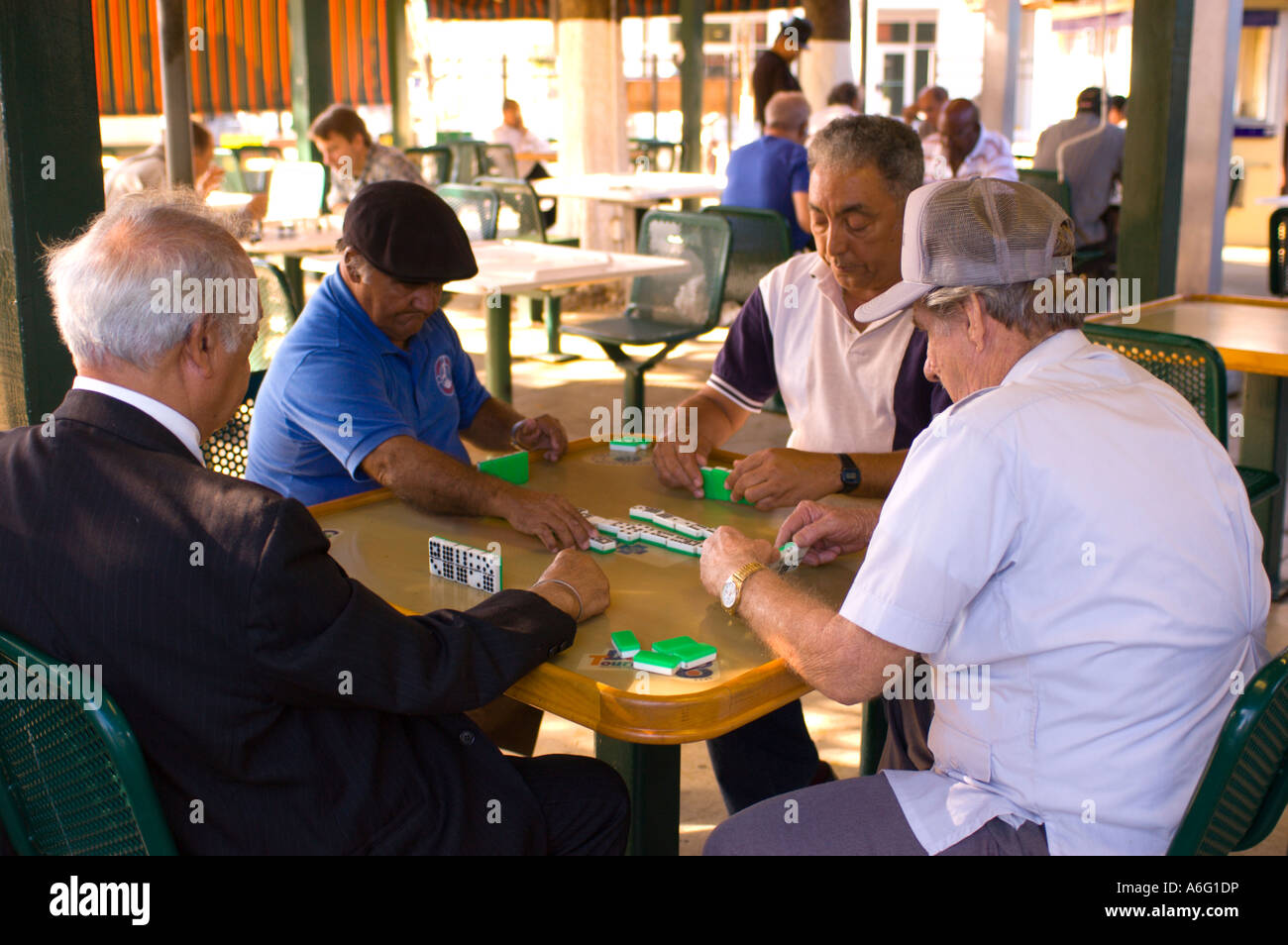 Anziani cubani, uomini gioca domino a Maximo Gomez Park sulla Calle Ocho 8th Street nel cuore di Little Havana Foto Stock