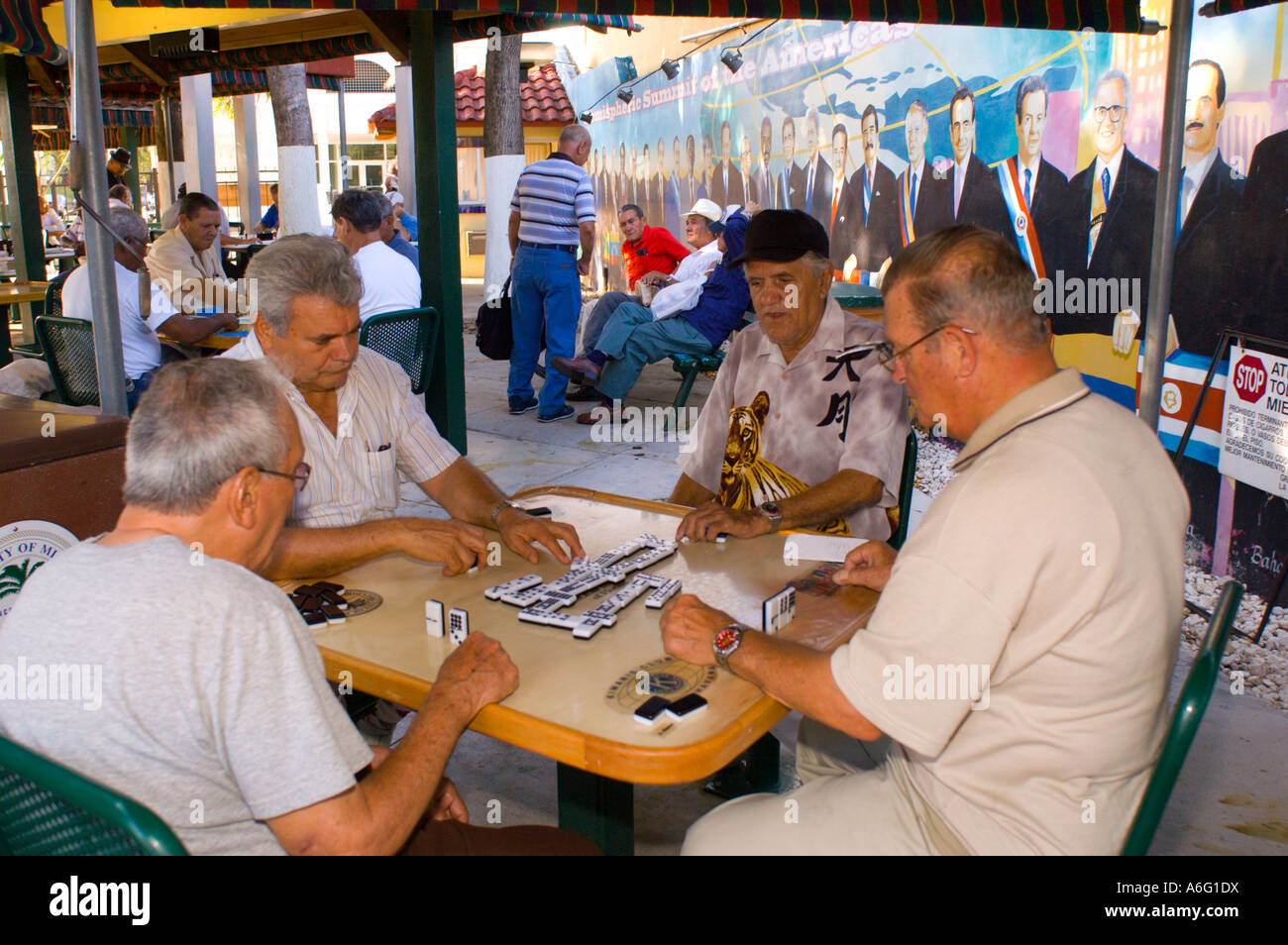 Anziani cubani, uomini gioca domino a Maximo Gomez Park sulla Calle Ocho 8th Street nel cuore di Little Havana Foto Stock
