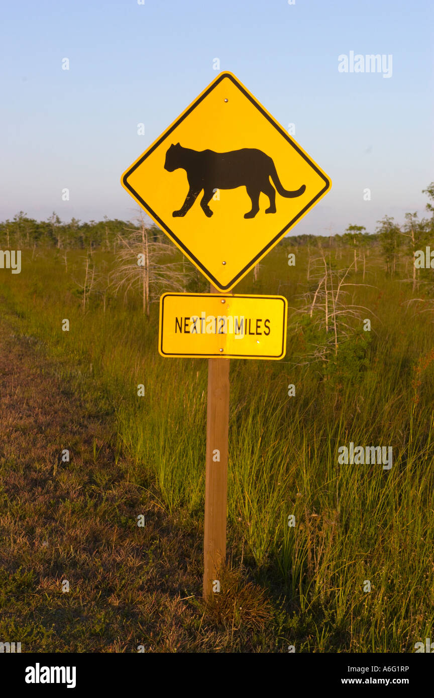 Avviso di fauna selvatica cartello stradale per le specie in via di estinzione Florida panther meno di 10 pantere persistono nel parco Foto Stock