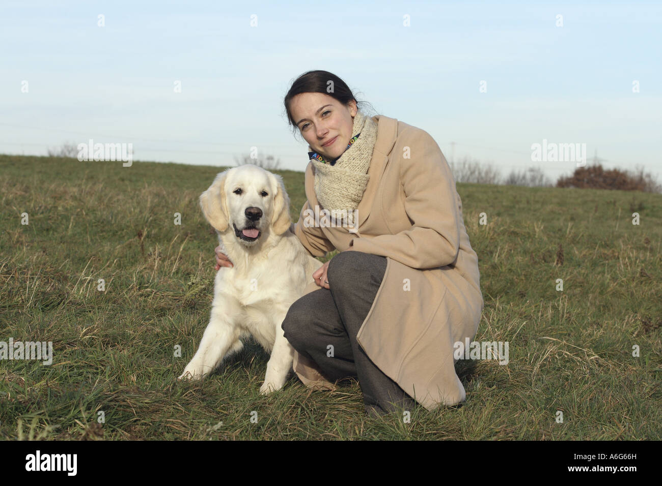 Golden Retriever (Canis lupus f. familiaris), giovane donna con cucciolo sul prato Foto Stock