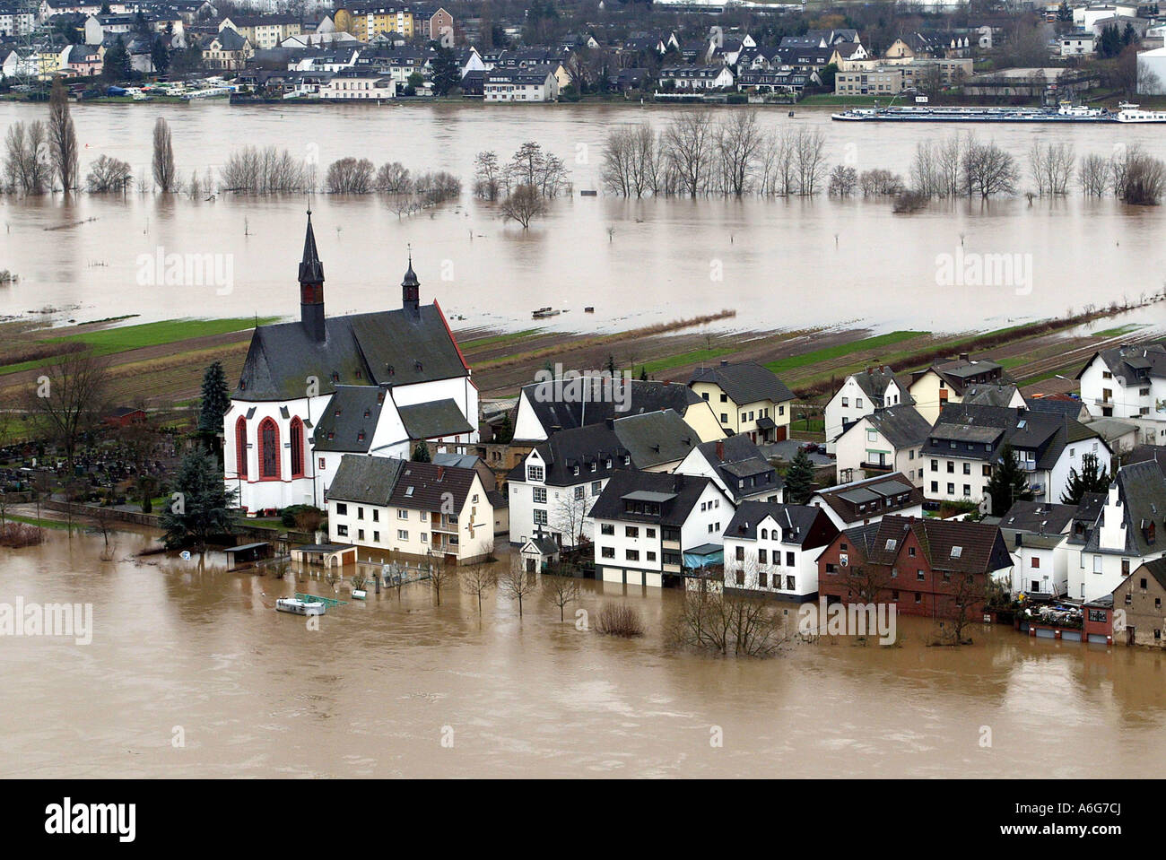 L'isola Niederwerth nel mezzo del fiume Reno durante l alluvione alta. Niederwerthm Renania-Palatinato, Germania Foto Stock