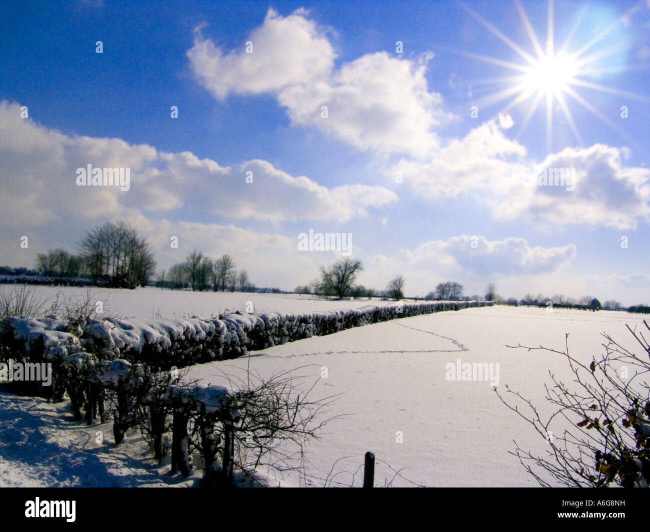 Snow Landscape in Eifel Belga, Belgio Foto Stock