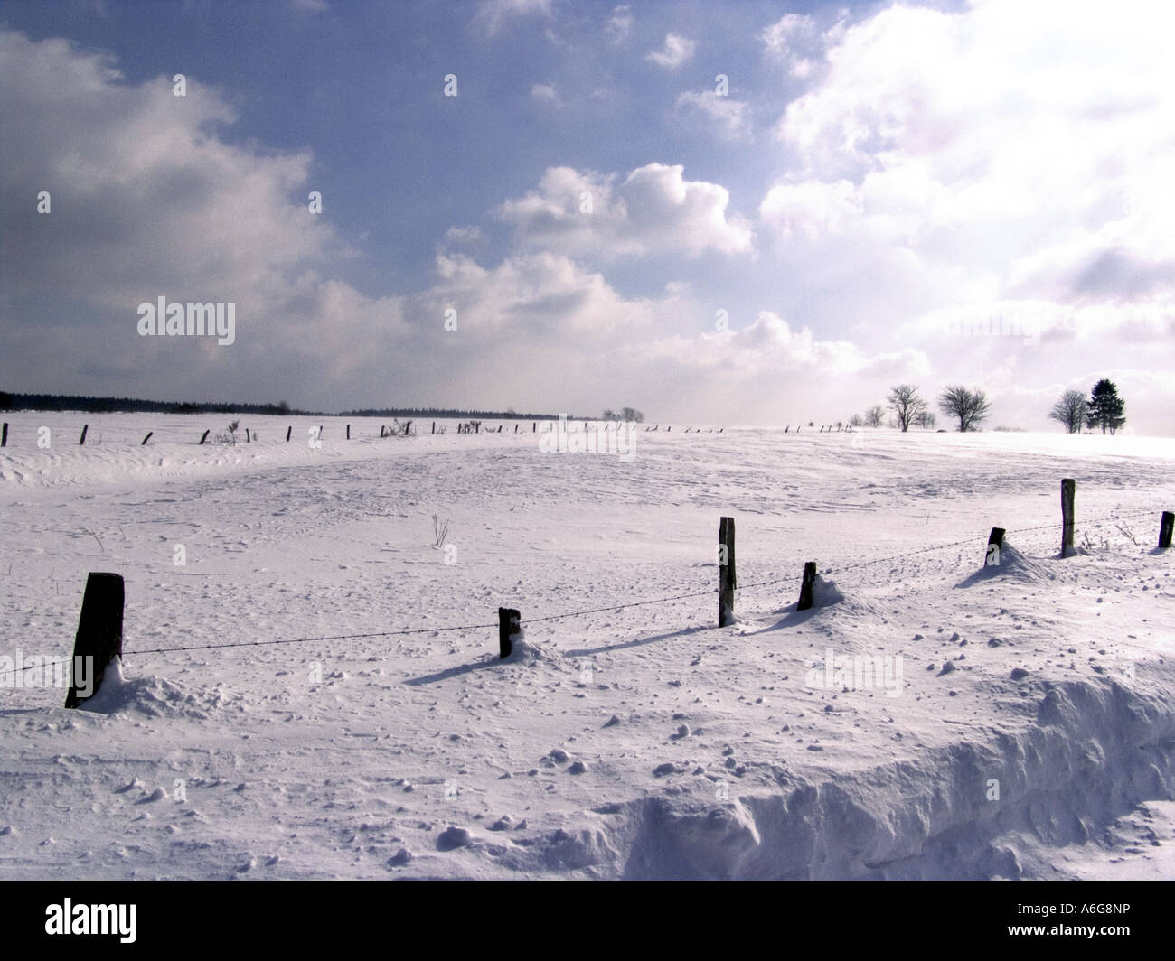 Paesaggio innevato, in Germania, in Renania settentrionale-Vestfalia, Eifel Foto Stock