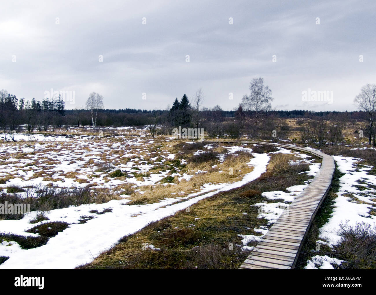 Il boardwalk attraverso un fango in inverno, in Germania, in Renania settentrionale-Vestfalia, Hohes Venn Foto Stock
