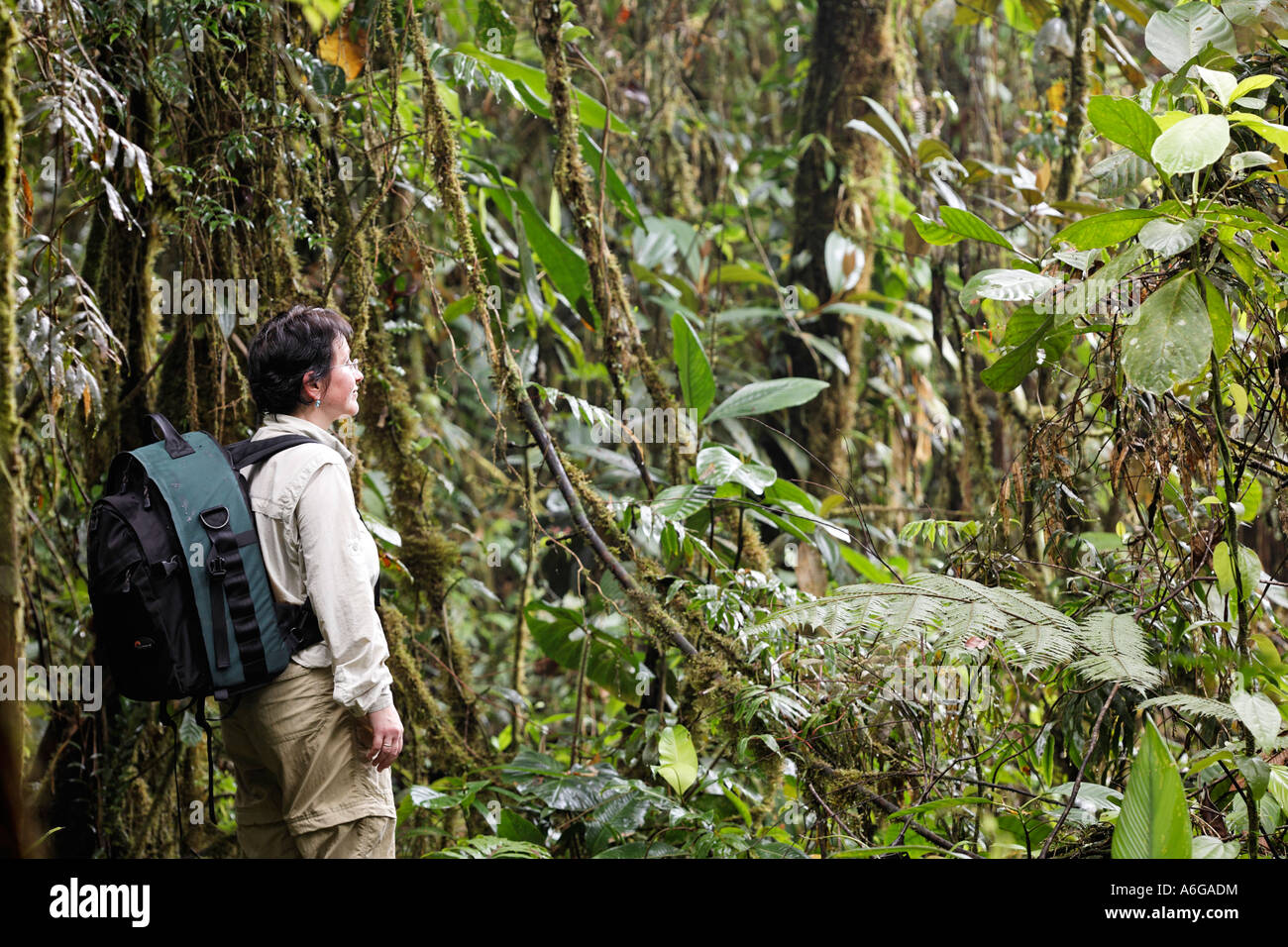 Donna con zaino nella foresta pluviale, rara avis, Las Horquetas, Costa Rica Foto Stock