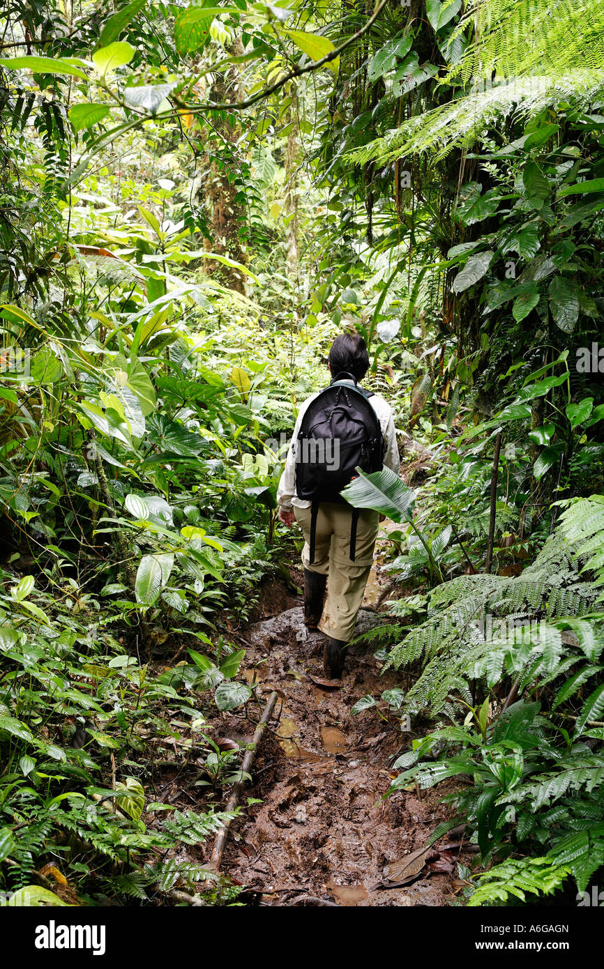 Donna con zaino nella foresta pluviale, rara avis, Las Horquetas, Costa Rica Foto Stock