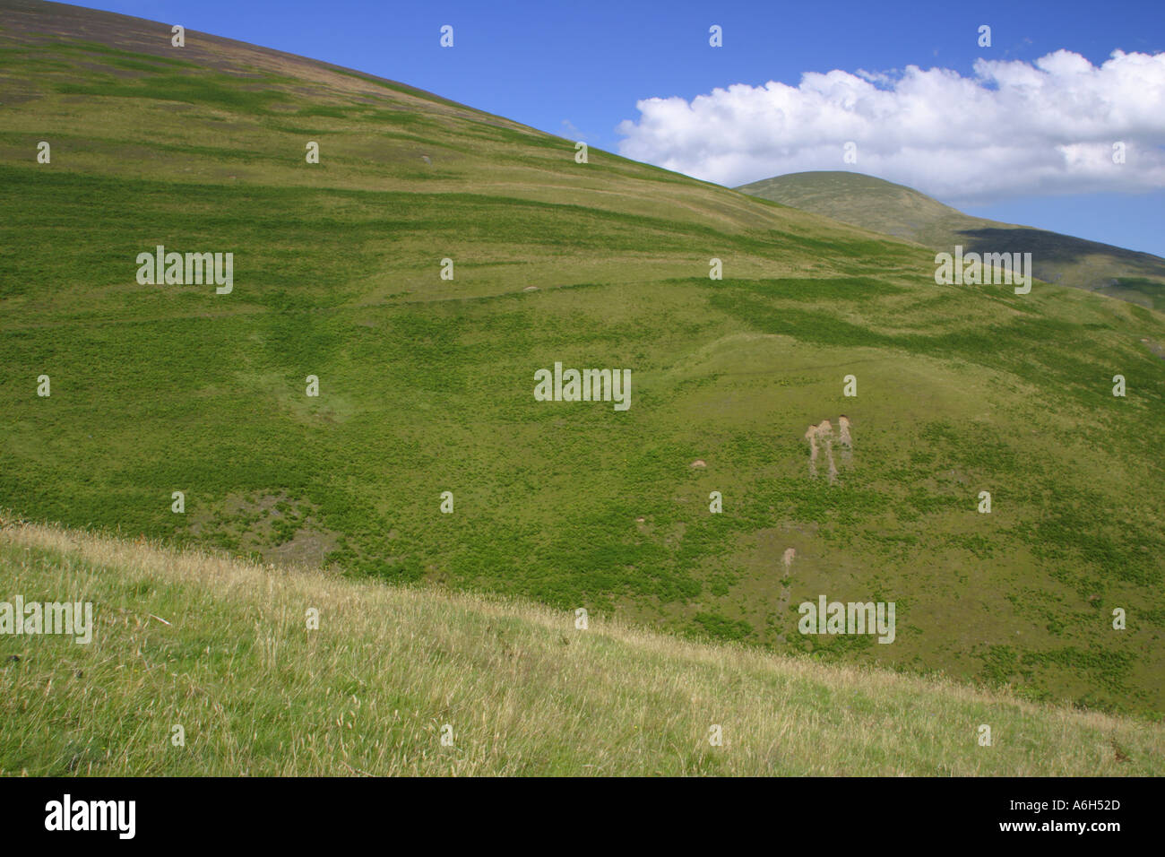 Inghilterra Cumbria Parco Nazionale del Distretto dei Laghi vista guardando dal Cumbria modo acceso lungo Lonscale inferiore verso Blease cadde Foto Stock